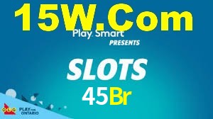 45Br App Interface