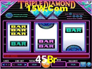 45Br - Support